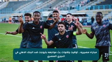 مباراة مصيرية.. توقيت وقنوات بث مواجهة بتروجت ضد البنك الأهلي في الدوري المصري